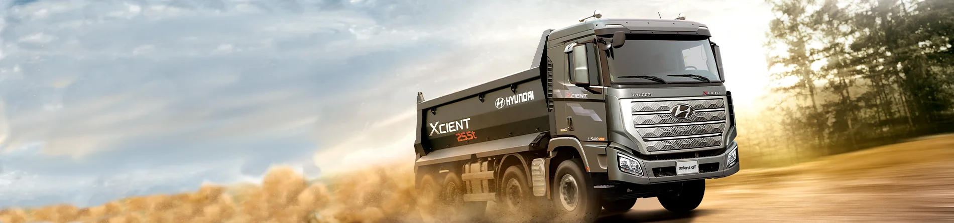 HYUNDAI XCIENT GT FAENERO 8X4