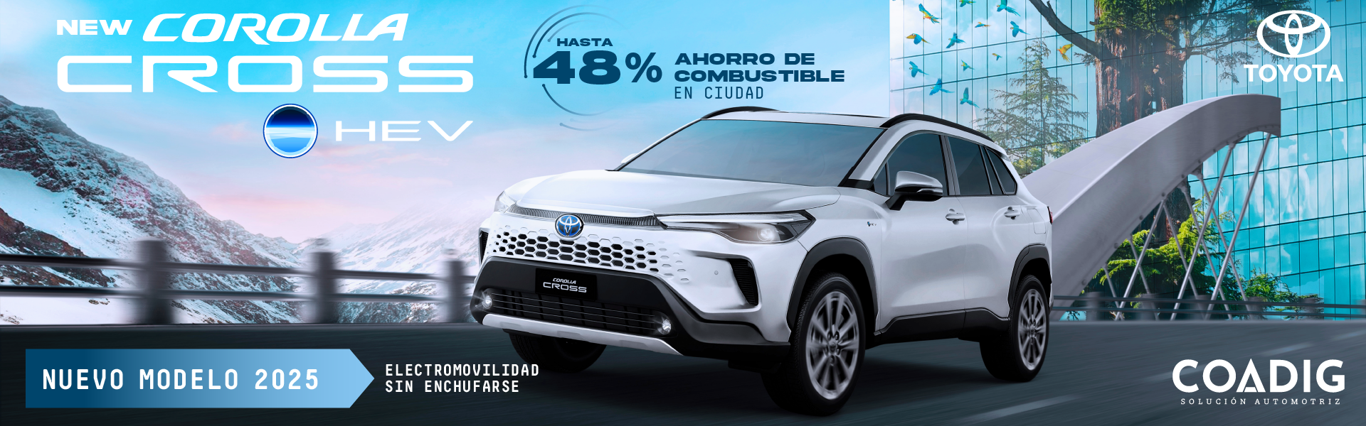 Oferta Coadig